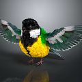 Colorful Bird With Spread Wings Black Head White Neck Yellow Belly Green And White Wings