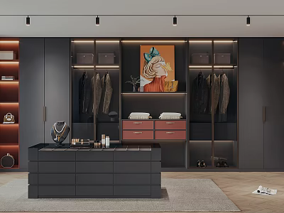 Luxury Walk in Closet Interior Design With Dark Cabinets Artwork Storage Drawers And Hanging Clothes 3d model