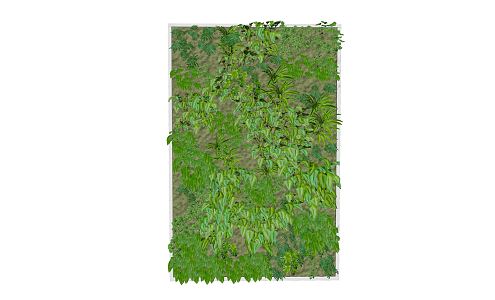 modern plant wall green plant wall 3d model