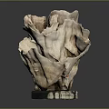 Natural Coral Polyps Sculpture With Intricate Textured Design And Black Base