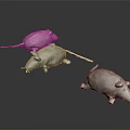 Three Soft Gray Plush Mice Stuffed Toys Posing On Dark Reflective Surface