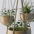 Modern hanging basket green plant potted hanging basket 3d model