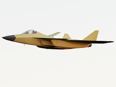 Combat Aircraft 3d model