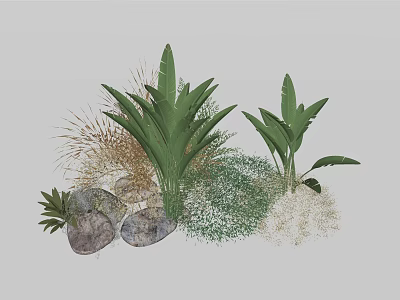 Lush Tropical Greenery With Large Leaf Plants Grass And Decorative Stones 3d model
