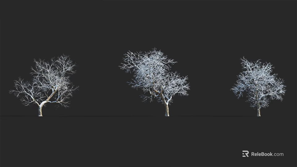 Bare Branch Arbor Display With Multiple Trees On Black Background 3d model