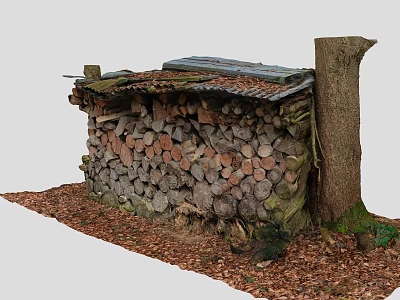 Wooden Logs Stacked Structure With Corrugated Metal Roof And Tree Trunk Surrounded By Fallen Leaves 3d model