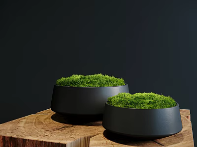 Lush Green Moss Covered Bonsai Potted Plants In Black Pots On Wooden Stump 3d model