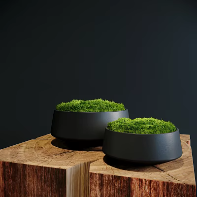 Lush Green Moss Covered Bonsai Potted Plants In Black Pots On Wooden Stump 3d model