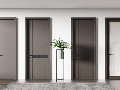 Modern Hinged Doors in Various Designs with Green Plant Stand White Walls and Wooden Flooring 3d model