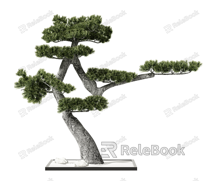 new chinese plant potted plant model