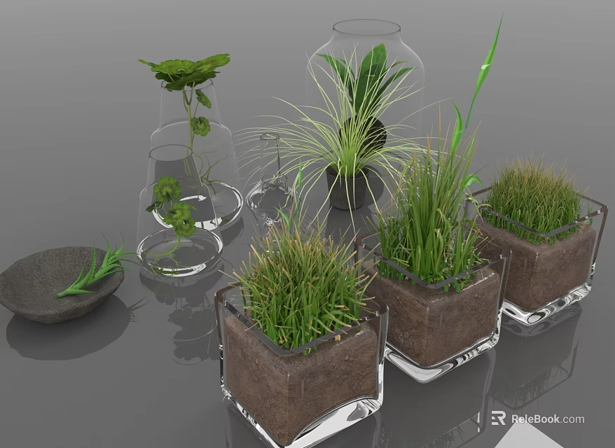 Green Leafy Plants And Grass In Transparent Glass Containers With Wooden Base 3d model 