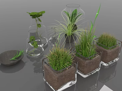 Green Leafy Plants And Grass In Transparent Glass Containers With Wooden Base 3d model