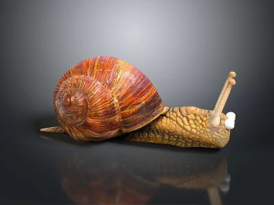 Reptile Snail with Red Brown Spiral Shell and Yellow Textured Body on Grey Reflective Surface 3d model