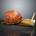 Reptile Snail with Red Brown Spiral Shell and Yellow Textured Body on Grey Reflective Surface