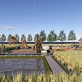 Natural Scenic Wall In Countryside With Rice Field Pond And Wooden Structures