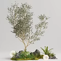 arbor landscape tree 3d model