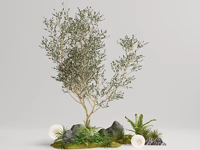 Lush Green Arbor With Slender Trunk Surrounded By Rocks Ferns And Mossy Ground 3d model