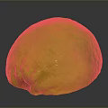 Fresh Green Yellow Pomelo With Textured Skin And Red Stem On Dark Background