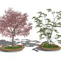 Red and Green Leaf Trees in Circular Planters with Grass and Brick Edges 3d model