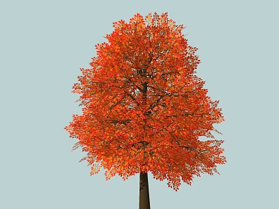 Vibrant Red Leaf Arbor Standing Against Light Blue Sky Background 3d model