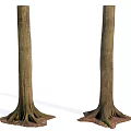 Natural Wood Tree Trunks Featuring Stone And Soil At Root Base 3d model