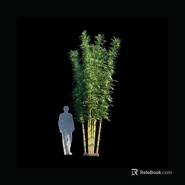 Tall Bamboo Plants With Lush Green Leaves And Human Figure For Scale 3d model 