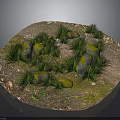 Circular Wooden Stone Ground With Green Grass Mossy Stones And Fallen Leaves