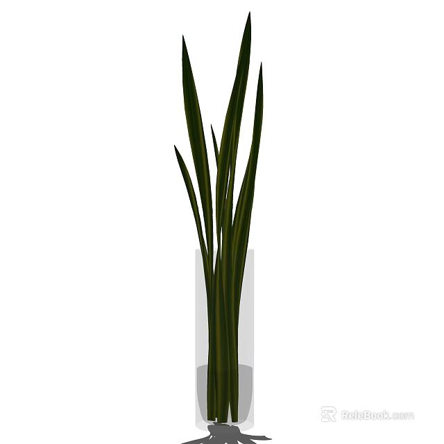 Transparent Glass Vase With Green Long Leaf Plants For Home Decoration 3d model 