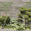Lush Plant Combination With Green Vines Wooden Wall Pink Flowers Large Green Leaves And Pruned Trees