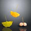 Ginkgo Plant Features Yellow Greenish Leaves And Pink Spotted Fruits Floating On Dark Background