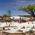 Desert Park Landscape Featuring Camels People Palm Trees Thatched Huts And Sand Dunes