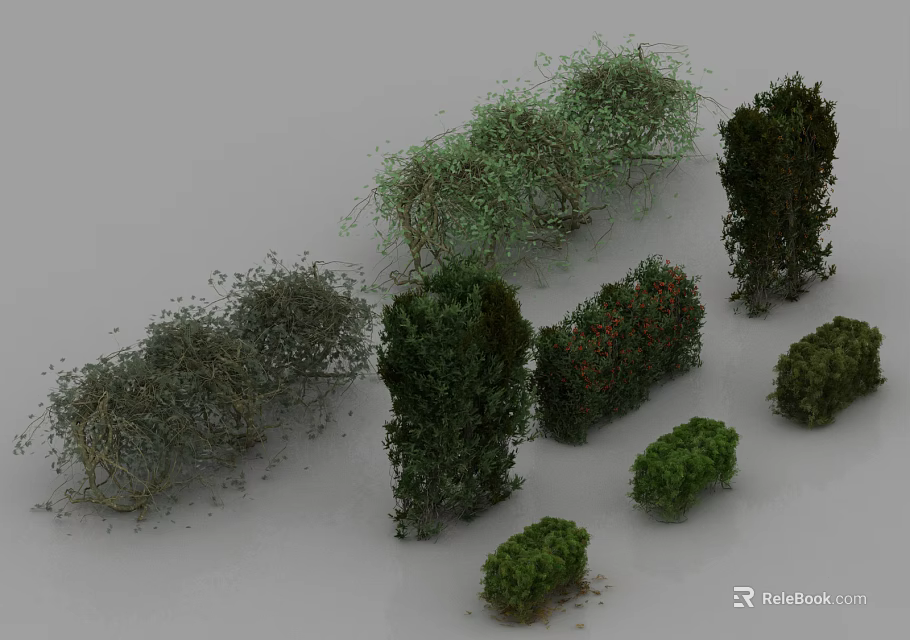 Various Types of Garden Shrubs with Different Shapes and Green Foliage for Landscaping 3d model 