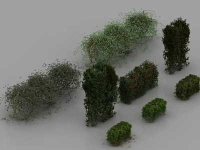 Various Types of Garden Shrubs with Different Shapes and Green Foliage for Landscaping 3d model