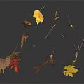 Falling Plant Leaves In Various Colors With Reflections On Dark Surface 3d model