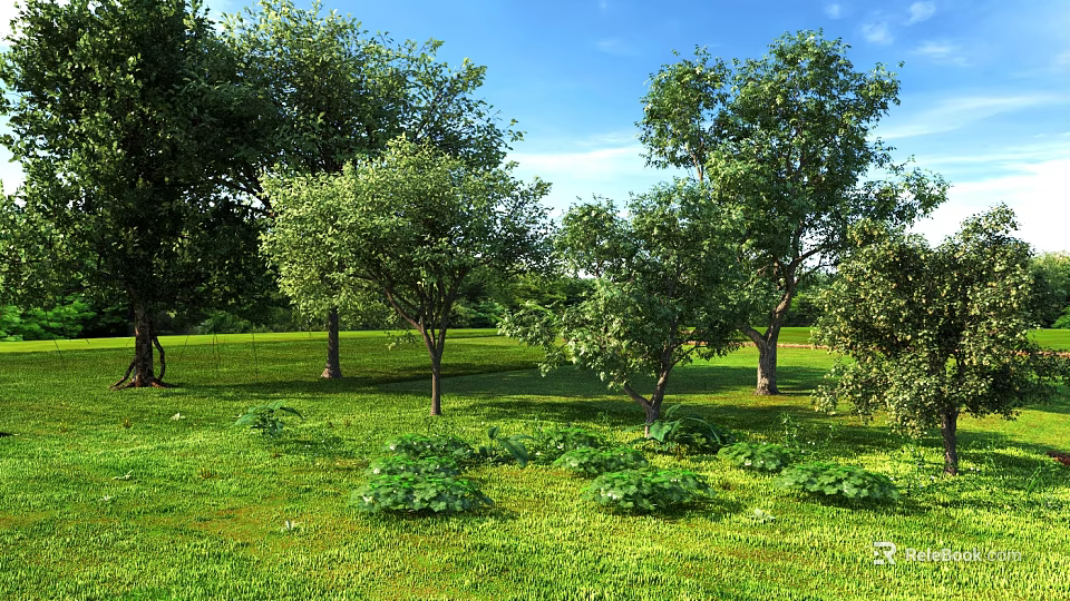 Natural Outdoor Plant Combination With Green Grass Trees And Low Shrubs 3d model 
