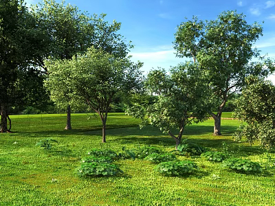 Natural Outdoor Plant Combination With Green Grass Trees And Low Shrubs 3d model