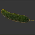 Fresh Green Cucumber with Striped Skin and Yellow Blossom Tip