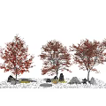 Modern Tree Landscape Tree Autumn Arbor Maple 3d model