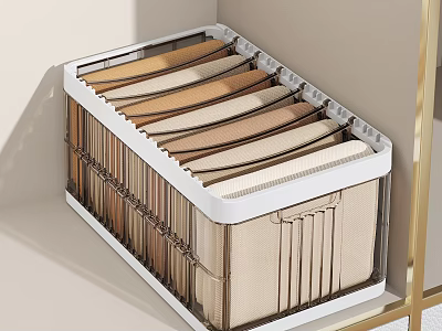Drawer Style Storage Organizer With Multiple Layers Dividers Beige White Design 3d model