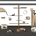 Indoor Cat Furniture Setup With Wooden Trees Beds And Cats Playing