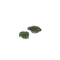Snowflaga roscoes Two Bushy Plants With White Flowers And Green Leaves