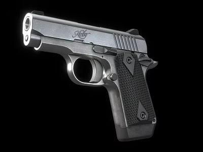 Stainless Steel Pistol With Textured Black Grip And Sleek Design Features Trigger And Barrel 3d model