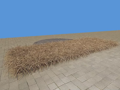 Dry Brown Grass On Gray Brick Pavement With Round Metal Manhole Cover And Blue Sky 3d model