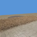 Dry Brown Grass On Gray Brick Pavement With Round Metal Manhole Cover And Blue Sky
