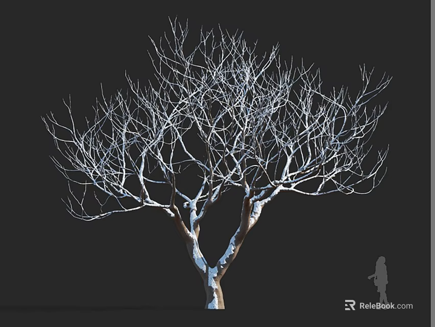 Leafless Arbor with Slender Branches and Brown Trunk against Black Background and Silhouette Figure 3d model 