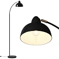 Modern Floor Lamp With Black Dome Shade And Brass Adjustable Arm For Living Room Decor
