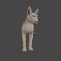 Realistic 3D Model of Standing Fox With Brown And Gray Fur On Gray Background