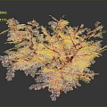 Blooming Pink Flowering Tree With Lush Branches Against Gray Background