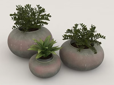 Three Bonsai Potted Plants with Soft Pink Gray Round Pots and Lush Green Leaves 3d model