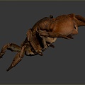 crab sea crab river crab hairy crab bread crab hermit crab big crab small crab marine animal fish 3d model